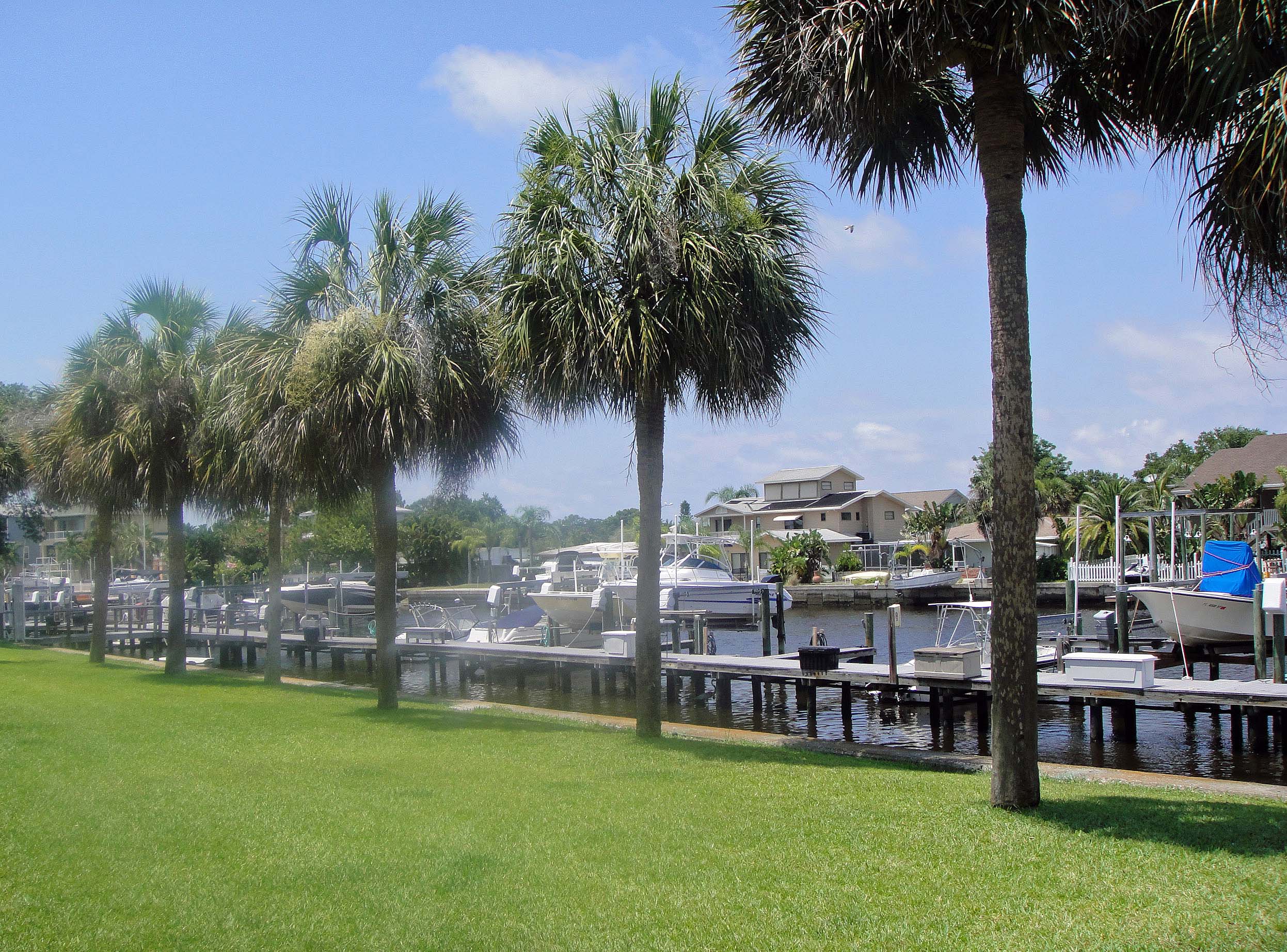 Dunedin Seasonal Rental Dunedin Waterfront
